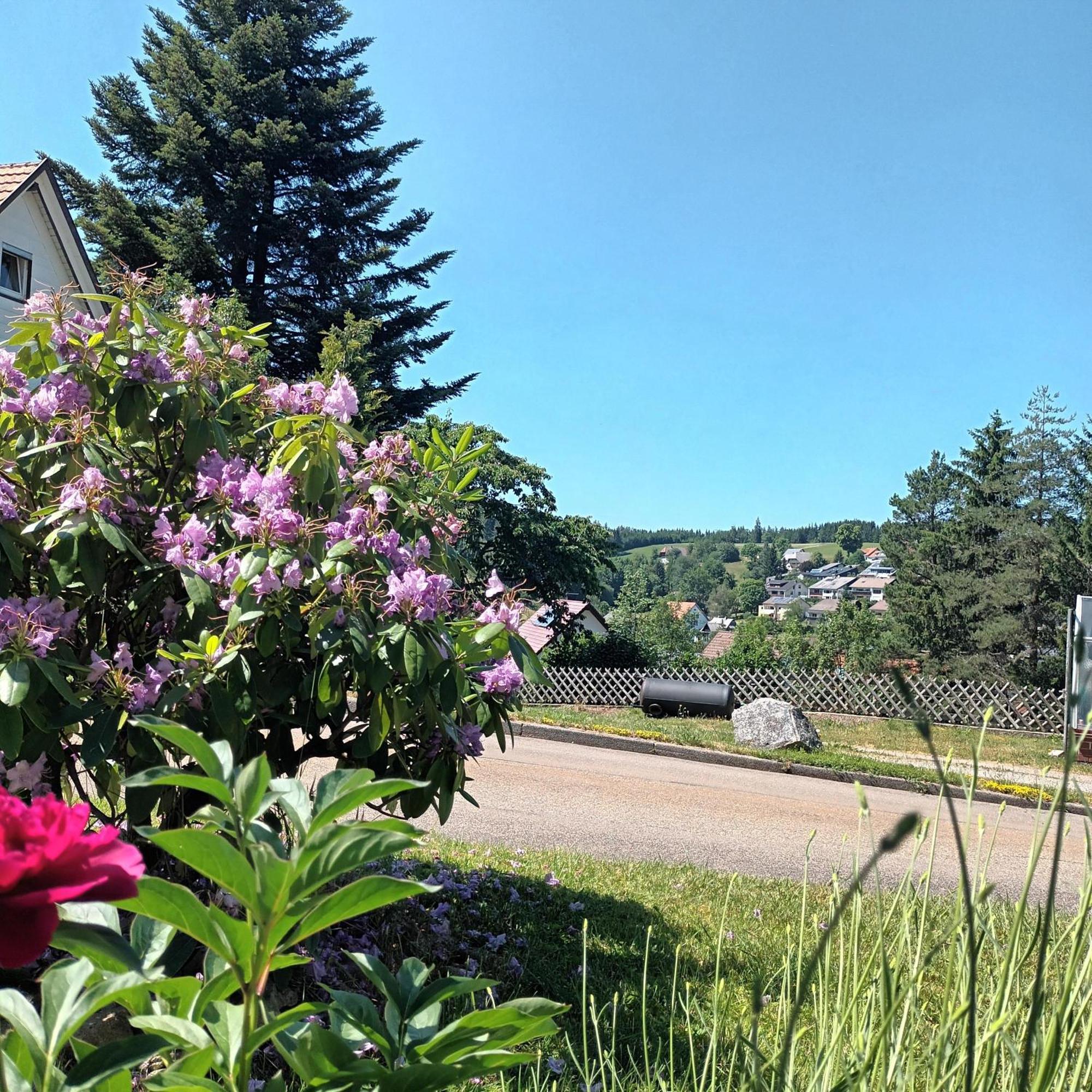 Ferienwohnung Brigachglueck Sankt Georgen im Schwarzwald Esterno foto