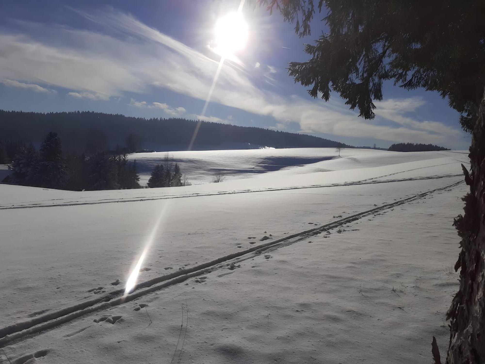 Ferienwohnung Brigachglueck Sankt Georgen im Schwarzwald Esterno foto