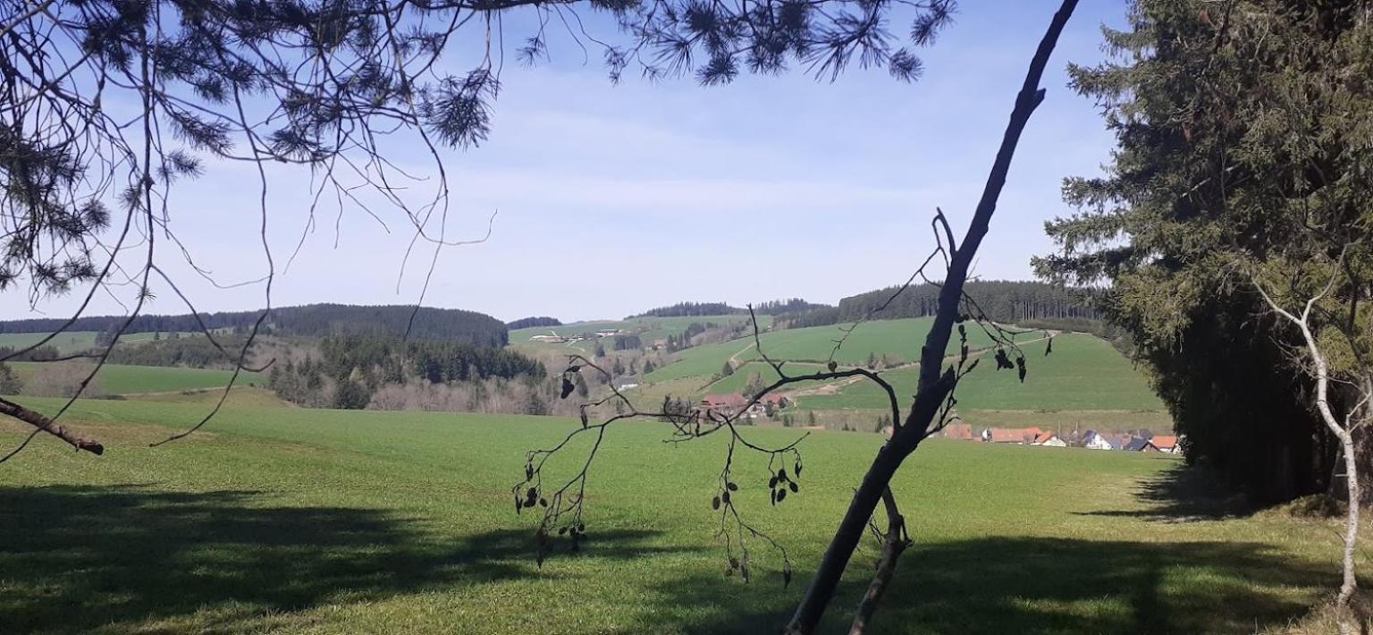 Ferienwohnung Brigachglueck Sankt Georgen im Schwarzwald Esterno foto