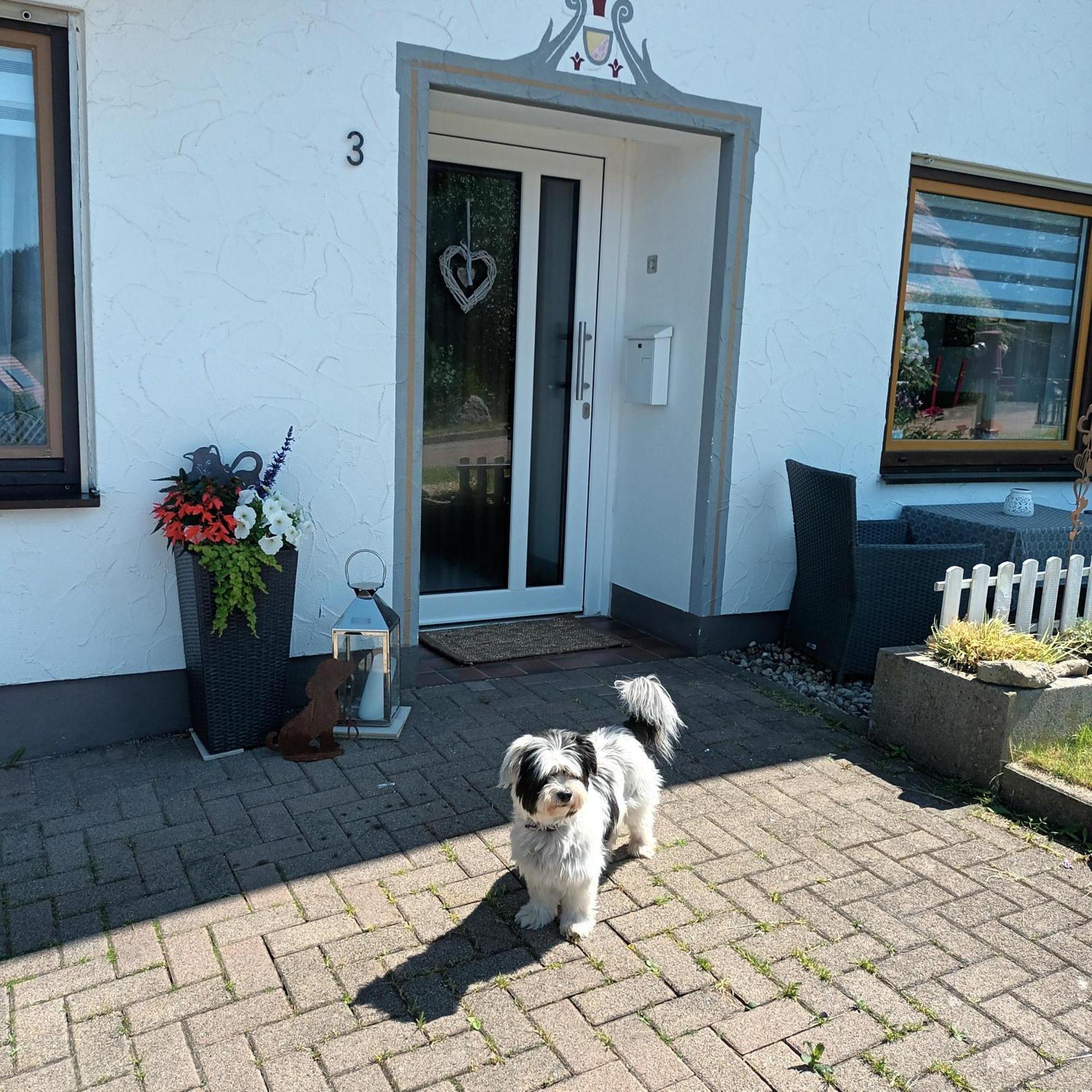 Ferienwohnung Brigachglueck Sankt Georgen im Schwarzwald Esterno foto