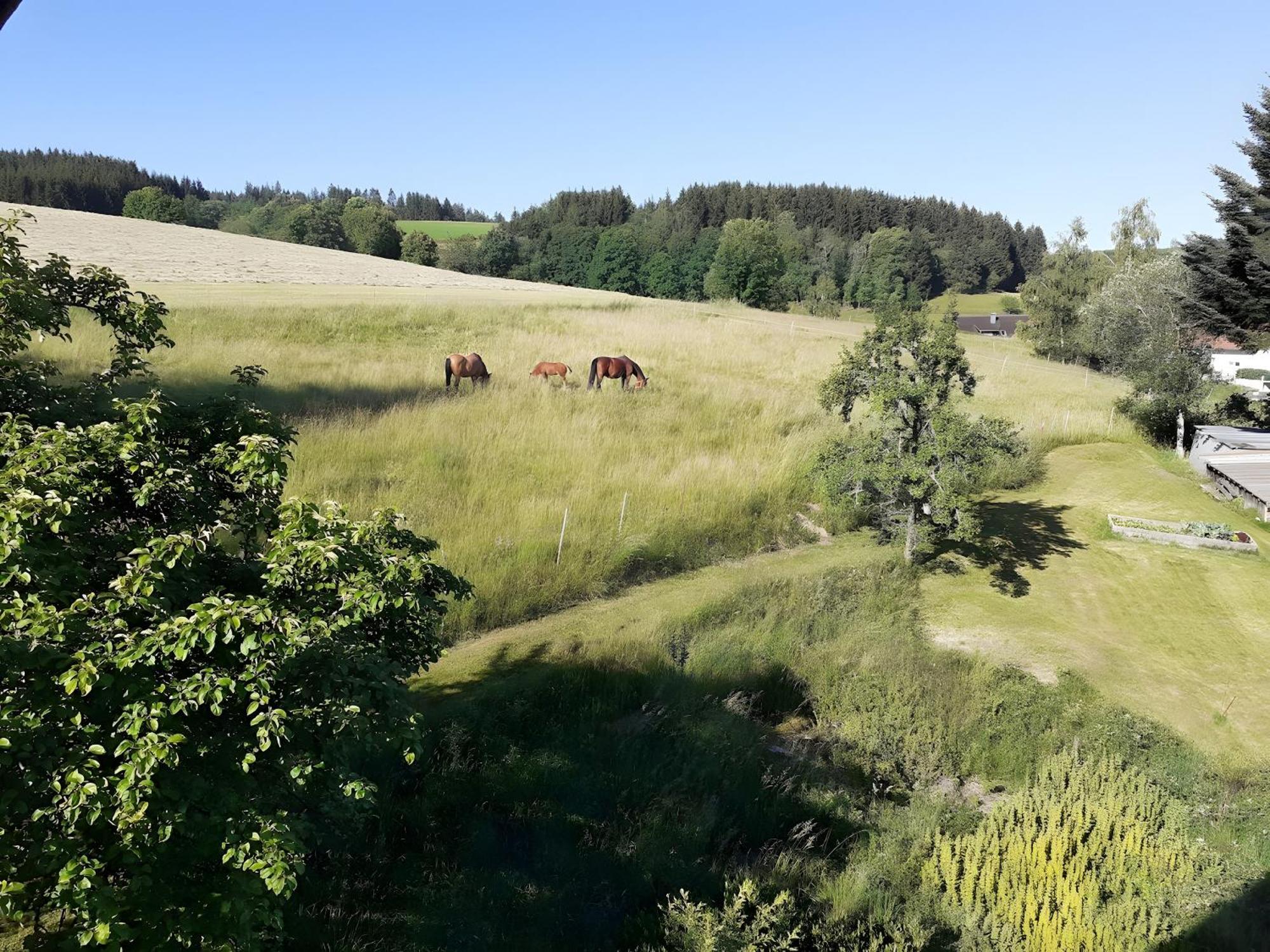 Ferienwohnung Brigachglueck Sankt Georgen im Schwarzwald Esterno foto